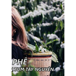 Mật ong hoa cà phê 10 lít